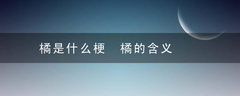 橘是什么梗 橘的含义